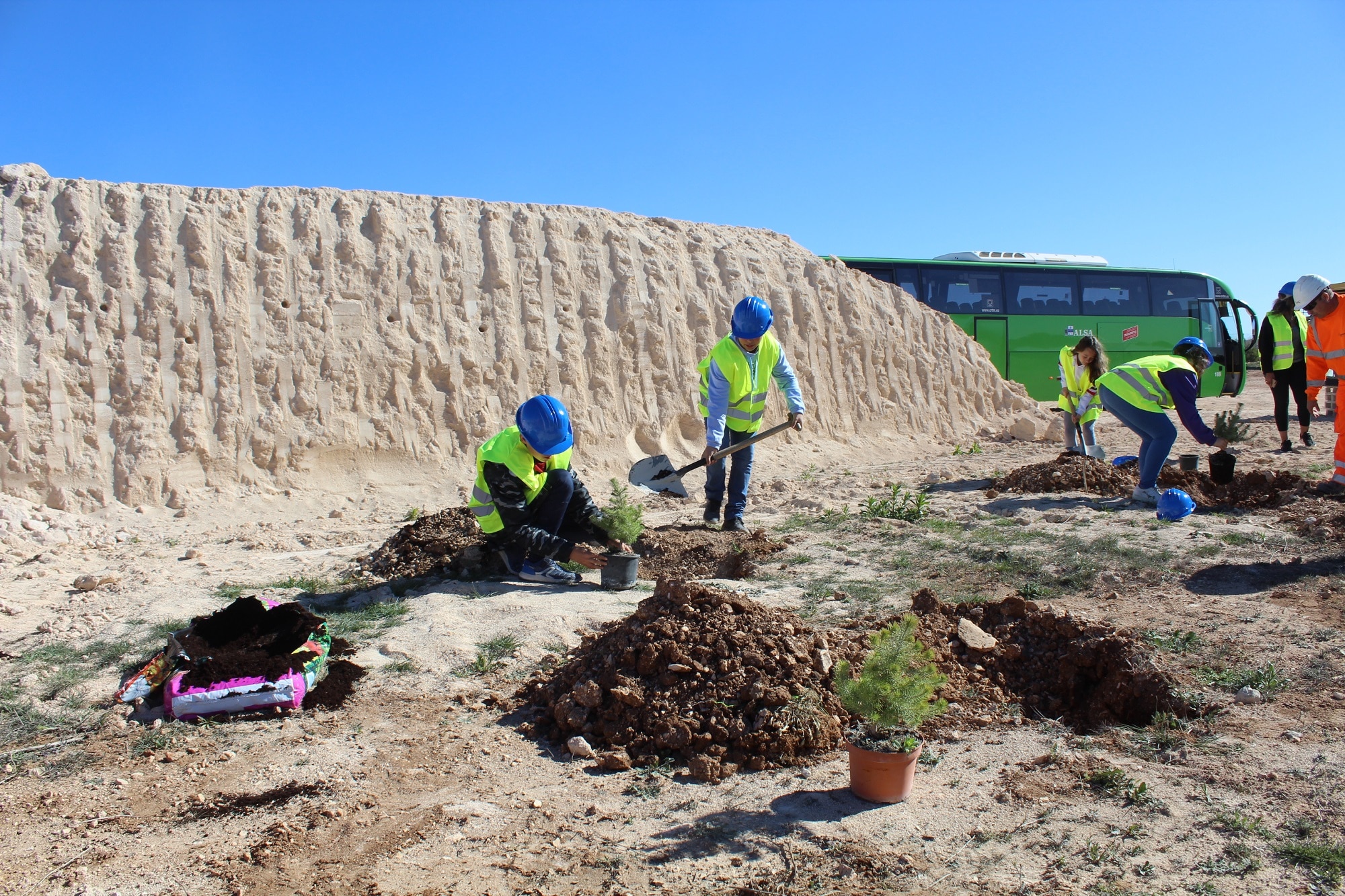 35 escolares del CEIP Miguel de Cervantes de Valdilecha (Madrid) han plantado 40 pinos en la cantera que Hanson-HeidelbergCement tiene en esta localidad