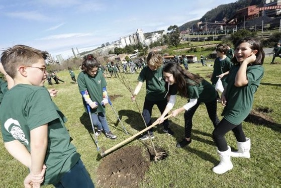 Los escolares de Candás plantan 95 frutales alrededor de la cementera de Tudela Veguín