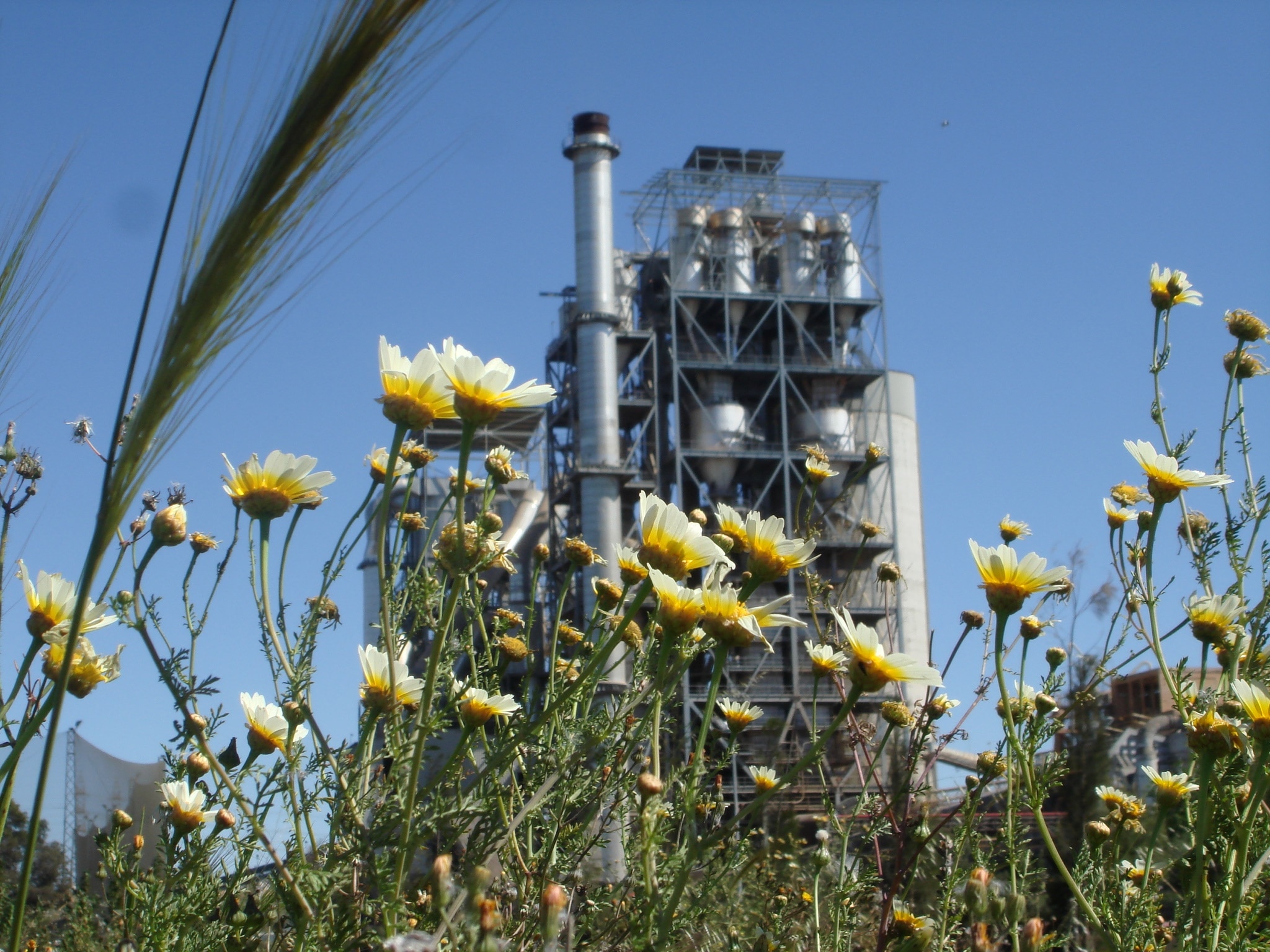 Cementos Portland Valderrivas apuesta por emplear energía renovable a partir de biomasa para la producción de cemento