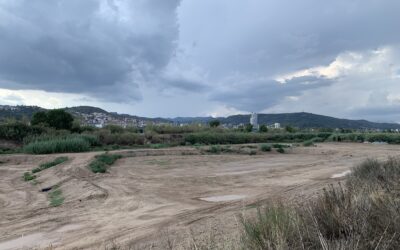 Cementos Molins y Damm se unen al proyecto de CUADLL para la recarga del acuífero de la Vall Baixa del Llobregat