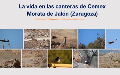 Cemex y SEO Birdlife crean espacios adecuados a la fauna autóctona en sus canteras de Morata de Jalón