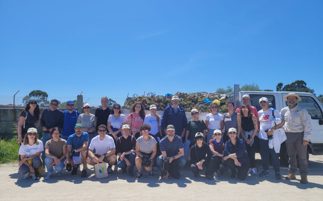 Voluntarios de Votorantim Cimentos limpian la costa norte de O Grove en colaboración con SEO Birdlife