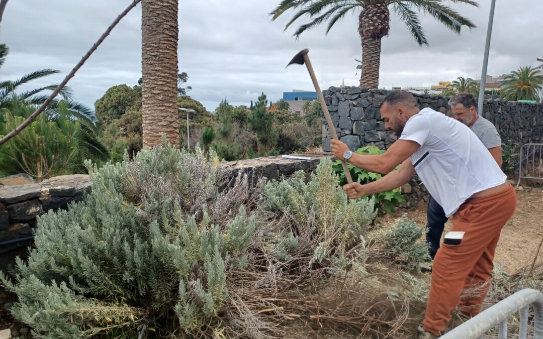 Voluntarios de la fábrica de Tenerife colaboran con la asociación “Quiero ser como tú, Ayúdame”